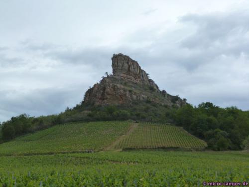 Der Felsen von Solutré, umgeben von Weinbergen
