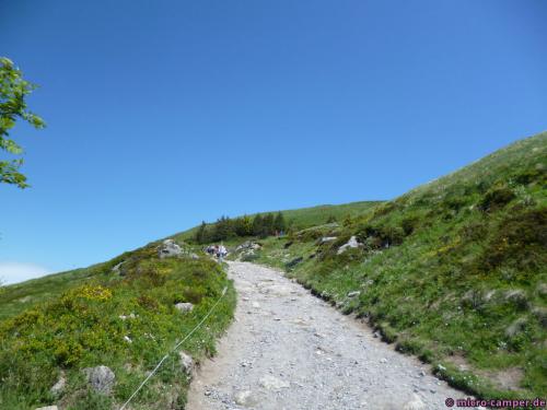 Baumgrenze überschritten