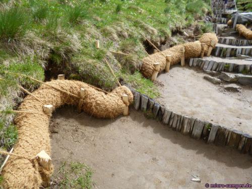 Erosionsschutz? Jedenfalls sehr nachhaltig.