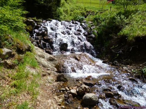 Die Quelle der Dordogne