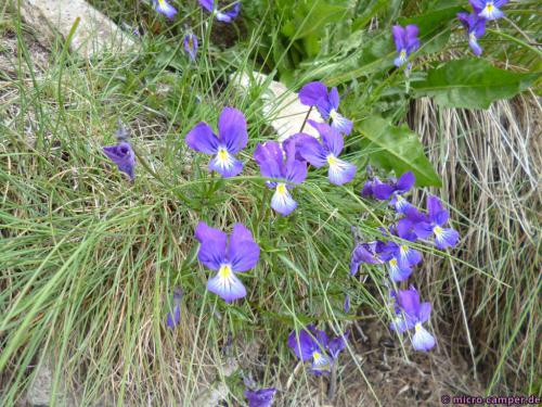 Mir will nicht einfallen, wie sie heißen ...