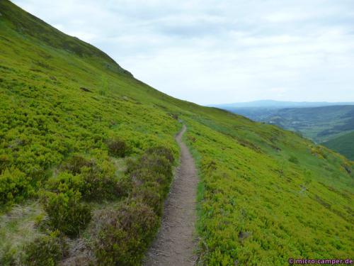 Solch schmale Pfade mag ich