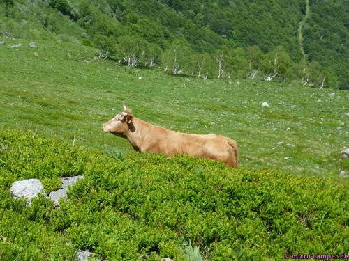 Lieber nicht ärgern! :-)