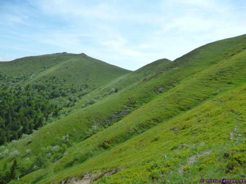 Wenn man hier im Spätsommer Heidelbeeren sammelt, kann man sie sicher zentnerweise nach Hause schleppen