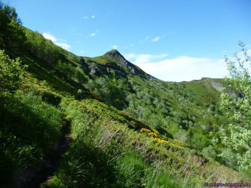 Zunächst durch niedrige Sträucher ...