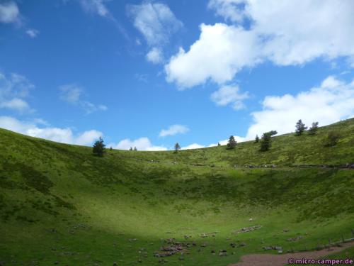 Fehlt nur noch ein Rotmilan am Himmel kreisend