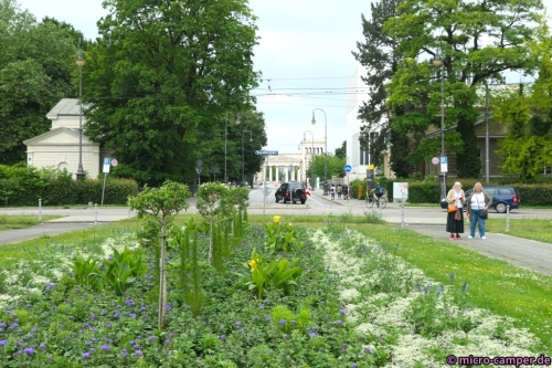 Blick vom Karolinenplatz zurück zum Karlsplatz