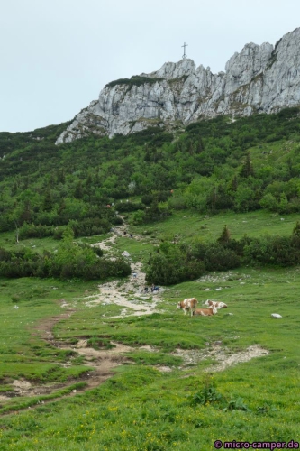 Da geht's jetzt hinauf, na denn ...