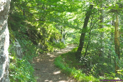 Herrliche Wege führen zurück nach Aschau