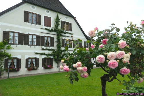 Idyllische Häuser und Gärten auf der Fraueninsel