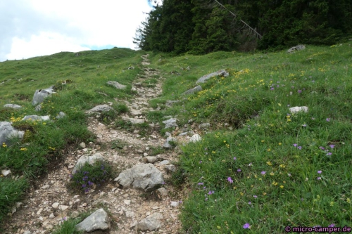 Der lange Aufstieg beginnt ...