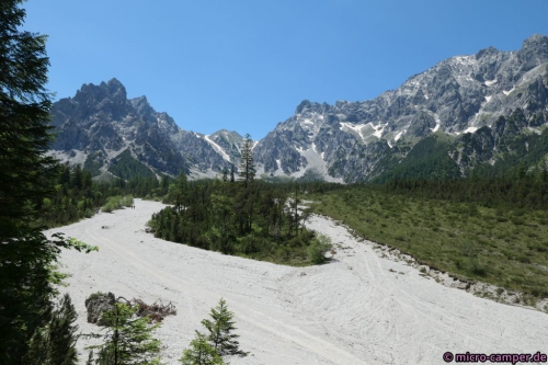Im Gries immer mal wieder grüne Inseln