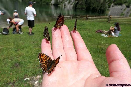 Beweisfoto - keine Montage!!!