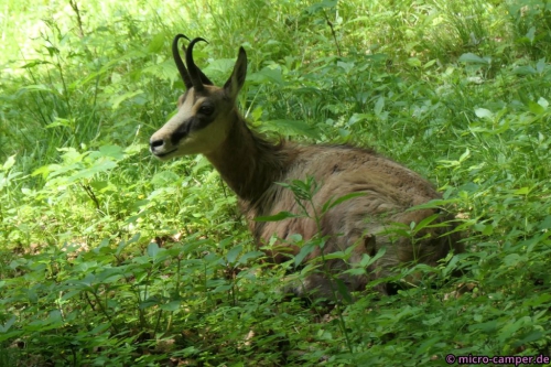 ... aber auch eine Pause muss mal sein.