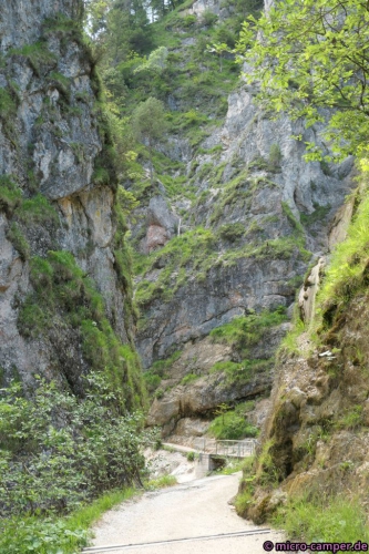 Die Almbachklamm ist großartig!