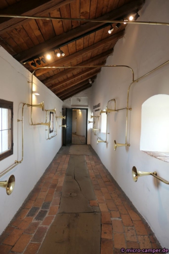 Der Salzburger Stier - wer ihn hören will