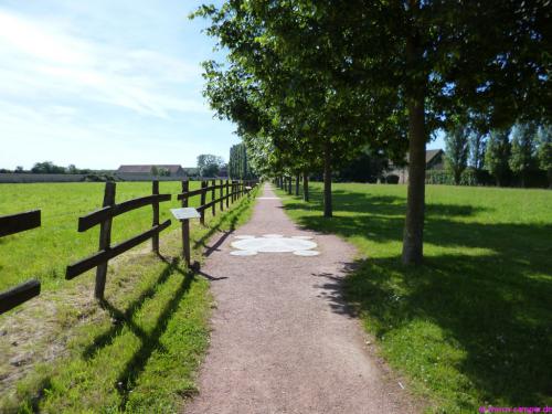 Der "Weg der Stille"