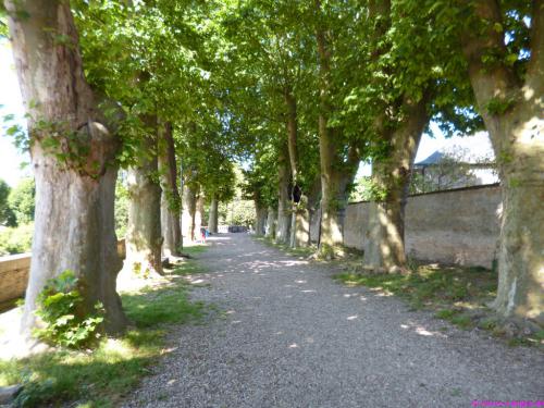 Unter Platanen auf der Stadtmauer