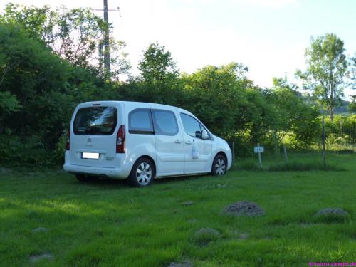Die Maulwürfe fühlen sich hier auch wohl