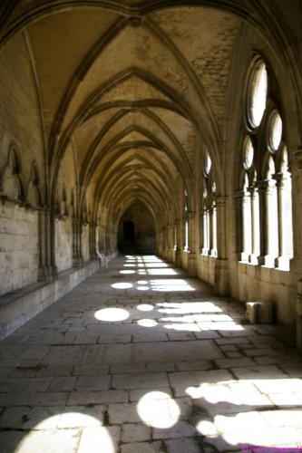 Licht- und Schattenspiele im Kreuzgang