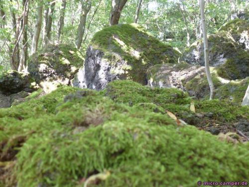 Auch hier Felsen am Wegesrand