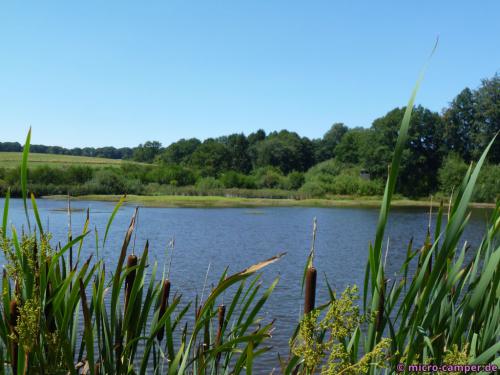 Das renaturierte Eichholzmaar, ein sehr idyllischer Fleck