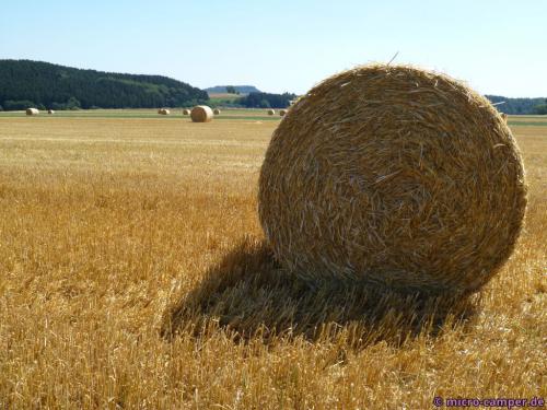 Strohballen auf dem Feld - immer ein schöner Anblick