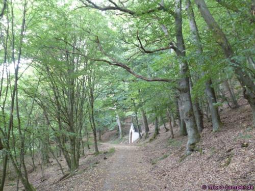 Kreuzweg durch den Wald hinauf zur Abtei