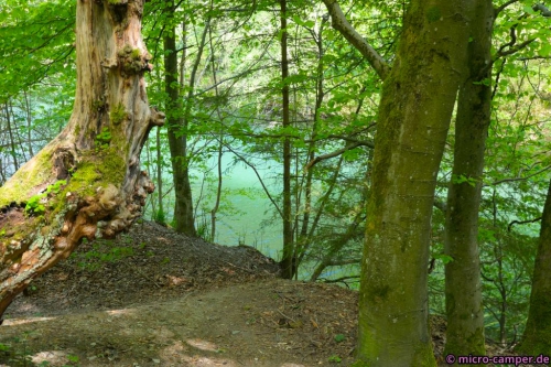 Die kleine, aber schön gefärbte Schmalahtalsperre