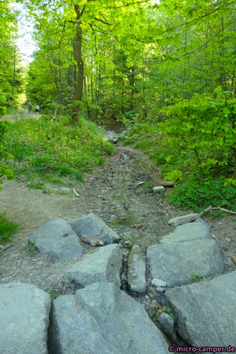 Die Ruhrquelle in der Nähe von Winterberg