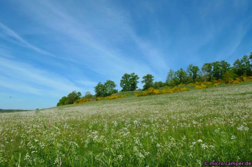 Frühling vom Feinsten