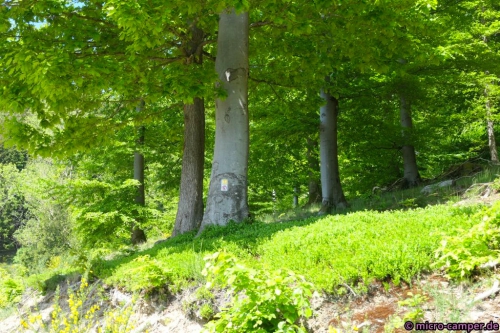 Wie immer bestens markiert