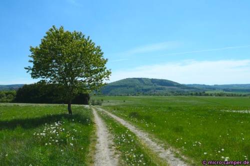 Blick zum Wilzenberg bei Grafschaft
