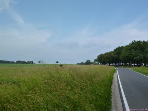 bei Römershagen