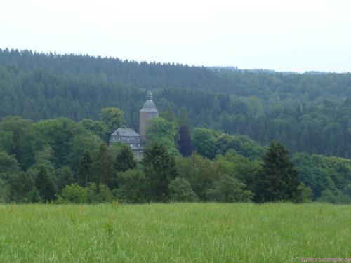 die Wildenburg