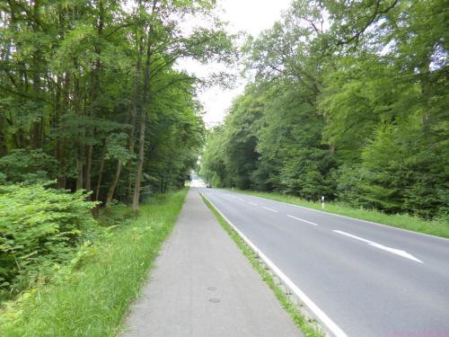 ... dann wieder an einer Straße entlang