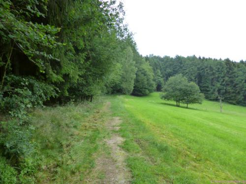 Nach langer Zeit mal wieder ein schmaler Pfad