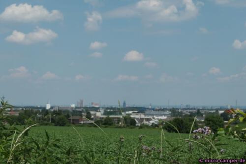Die Kamera hat irgendwie nicht richtig scharf gestellt, aber der Dom ist trotzdem erkennbar.
