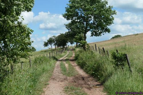 Wie im Leben ist der Weg nicht immer geradlinig.