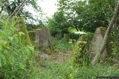 Reste des Westwalls mitten im Grünen