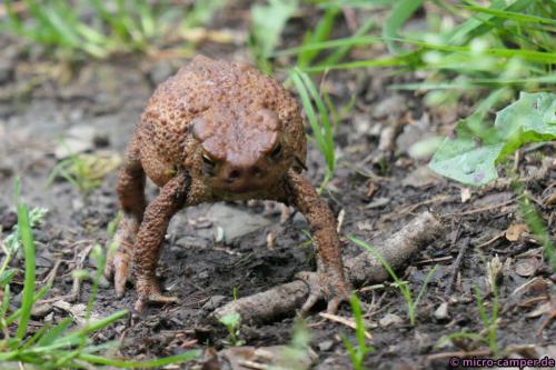 Begegnung der anderen Art