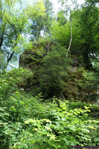 Hier versteckt sich ein Dolomitfelsen im dichten Grün