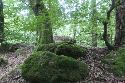 SO mag ich das, trocken!