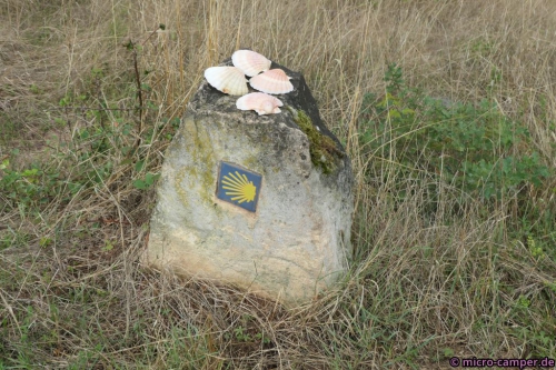 Mehr Muscheln gehen kaum noch :-D