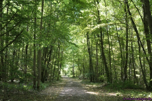 Waldpassagen tun gut bei der Hitze