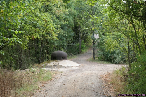 In einem so schönen Wald rechnet man doch nicht