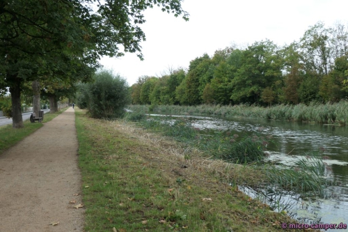 Zwar schön grün, aber NUR geradeaus?