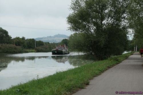 Ich laufe, die anderen schippern mit einem Hausboot über die Mosel.