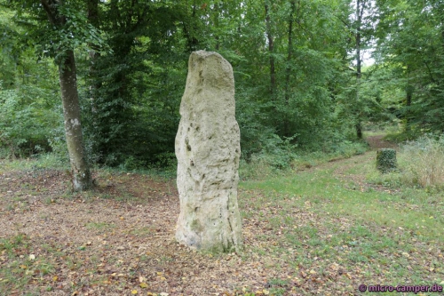 Jungsteinzeiticher Menhir la Pierre au Jô