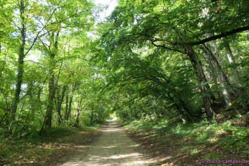Das ist NICHT das langweilige Stück Wald :D
